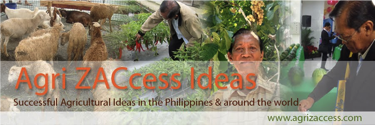 Agricultural blog for the Philippines