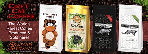 Civet Cat Coffee or Kopi Luwak sold at Gratchi's Getaway